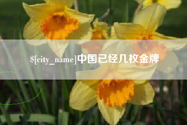 琼中中国已经几枚金牌