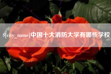 琼中中国十大消防大学有哪些学校