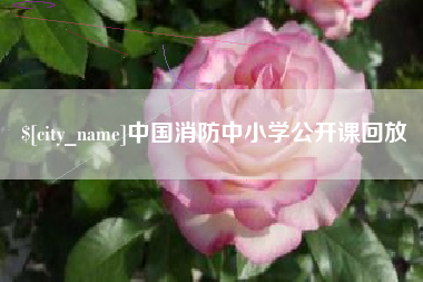琼中中国消防中小学公开课回放