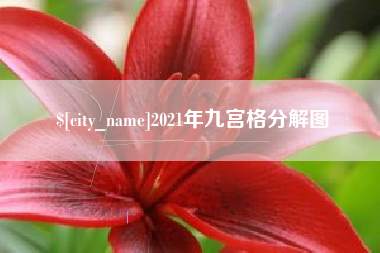 琼中2021年九宫格分解图