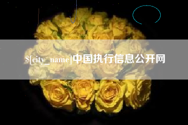 琼中中国执行信息公开网