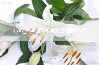 琼中森林消防日是哪一天
