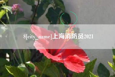 琼中上海消防员2021