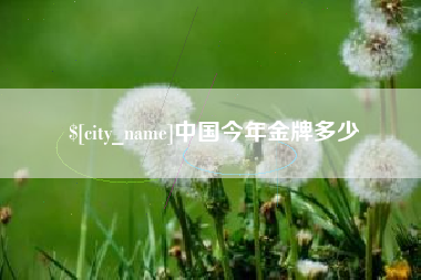 琼中中国今年金牌多少