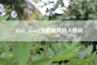 琼中失信被执行人杳询