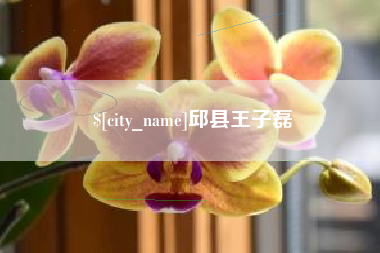 琼中邱县王子磊