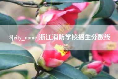 琼中浙江消防学校招生分数线
