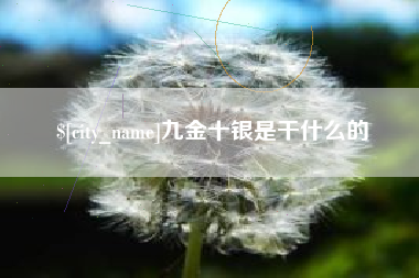 琼中九金十银是干什么的