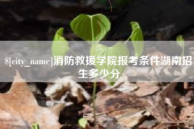 琼中消防救援学院报考条件湖南招生多少分