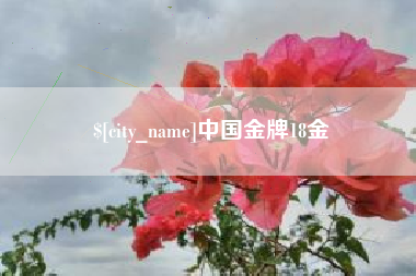 琼中中国金牌18金