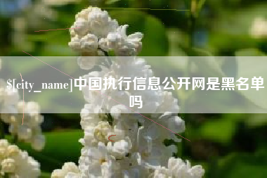 琼中中国执行信息公开网是黑名单吗