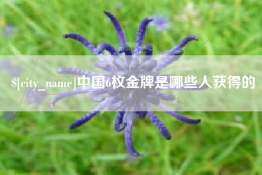琼中中国6枚金牌是哪些人获得的