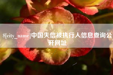 琼中中国失信被执行人信息查询公开网址