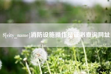 琼中消防设施操作员证书查询网址