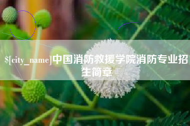 琼中中国消防救援学院消防专业招生简章