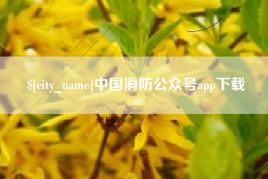 琼中中国消防公众号app下载