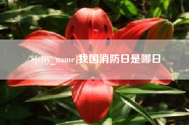 琼中我国消防日是哪日