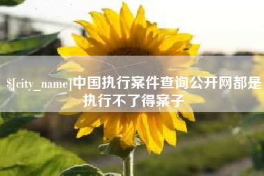 琼中中国执行案件查询公开网都是执行不了得案子