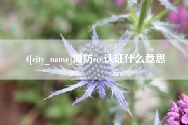 琼中消防ccc认证什么意思