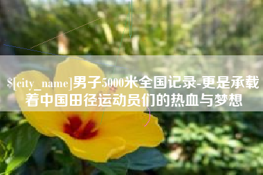 琼中男子5000米全国记录-更是承载着中国田径运动员们的热血与梦想