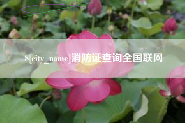 琼中消防证查询全国联网