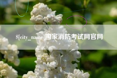 琼中国家消防考试网官网