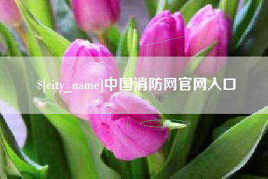 琼中中国消防网官网入口