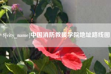 琼中中国消防救援学院地址路线图