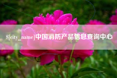 琼中中国消防产品信息查询中心
