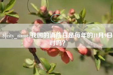 琼中我国的消防日是每年的11月9日对吗？