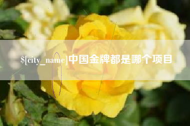 琼中中国金牌都是哪个项目