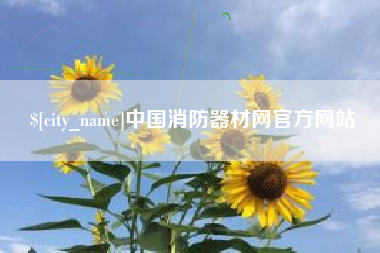 琼中中国消防器材网官方网站