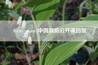 琼中中国消防公开课回放