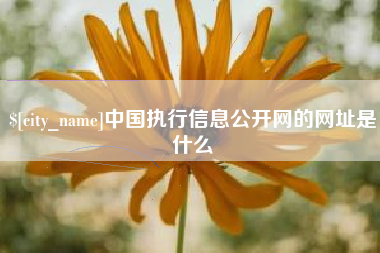 琼中中国执行信息公开网的网址是什么