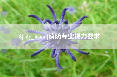 琼中消防专业视力要求