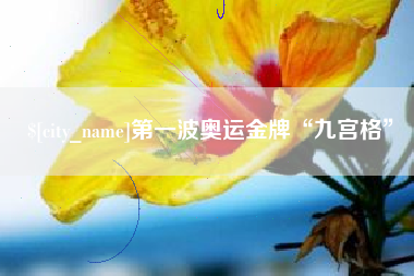 琼中第一波奥运金牌“九宫格”