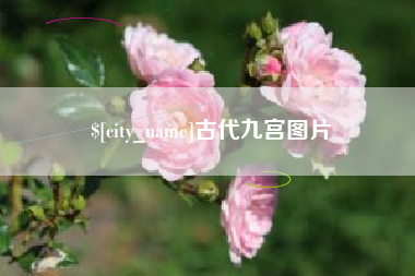 琼中古代九宫图片