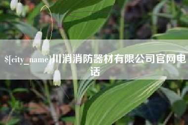 琼中川消消防器材有限公司官网电话