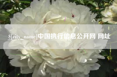 琼中中国执行信息公开网 网址
