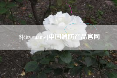 琼中中国消防产品官网