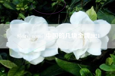 琼中中国的几块金牌2021