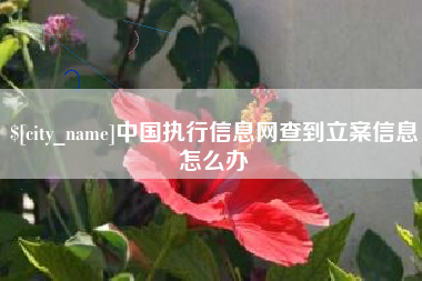 琼中中国执行信息网查到立案信息怎么办