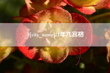 琼中21年九宫格