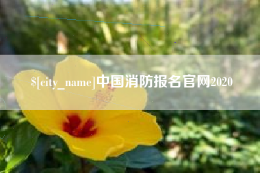 琼中中国消防报名官网2020