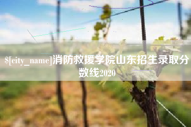 琼中消防救援学院山东招生录取分数线2020