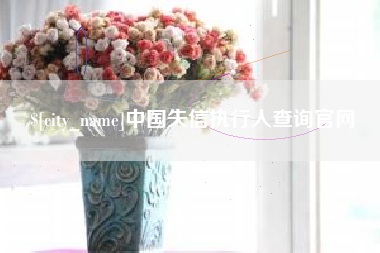 琼中中国失信执行人查询官网