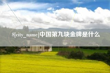 琼中中国第九块金牌是什么