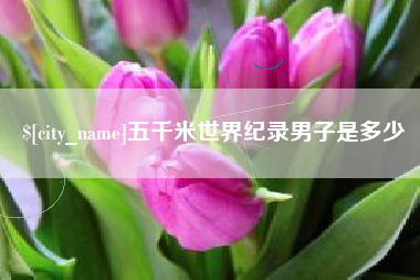 琼中五千米世界纪录男子是多少