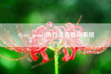 琼中执行公告查询系统