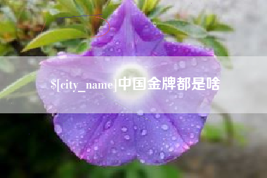 琼中中国金牌都是啥